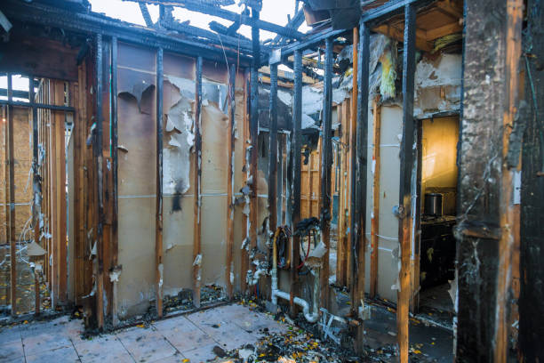 Professional Odor Removal technician working in Bude, MS